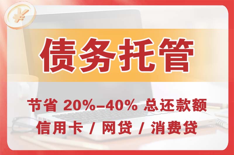 阳江镇债务托管